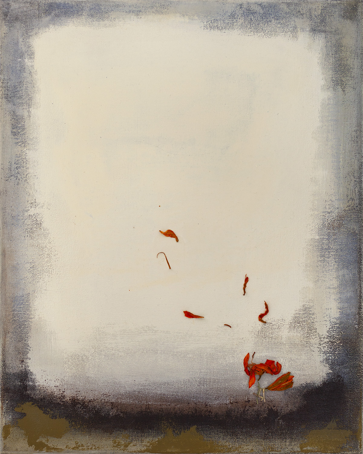 Lily's Dream by Liane Klindt